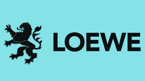 Antragsunterlagen für die LOEWE-Professuren Eine hellblaue Kachel mit LOEWE-Logo: Dem Schriftzug "LOEWE" und dem Wappenlöwen
