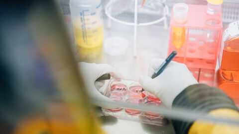 Wissenschaft muss mutig sein Eine Person im Schutzanzug tropft eine Flüssigkeit in Petrischalen; man sieht ihr über die Schulter