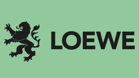 LOEWE-Transfer-Professuren Kachel für die LOEWE-Transfer-Professuren